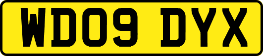 WD09DYX