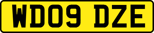 WD09DZE