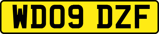 WD09DZF