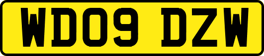 WD09DZW