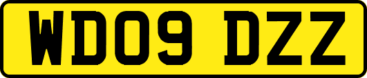 WD09DZZ