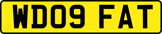 WD09FAT