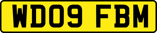 WD09FBM
