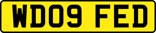 WD09FED