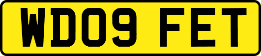 WD09FET
