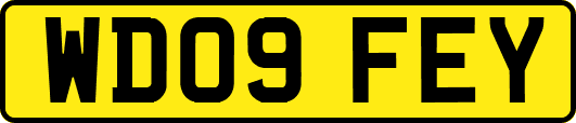 WD09FEY