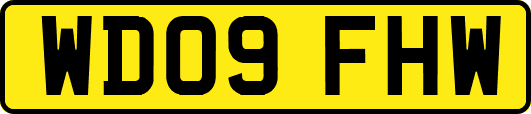 WD09FHW