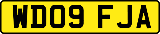 WD09FJA