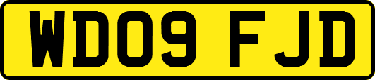 WD09FJD
