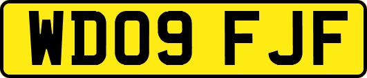 WD09FJF