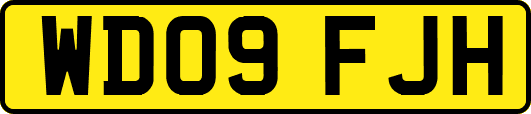 WD09FJH