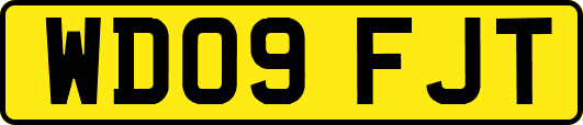 WD09FJT