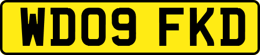 WD09FKD