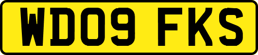 WD09FKS