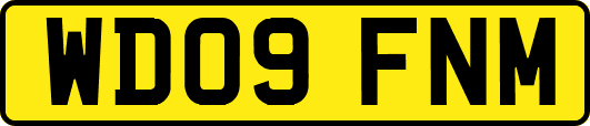 WD09FNM
