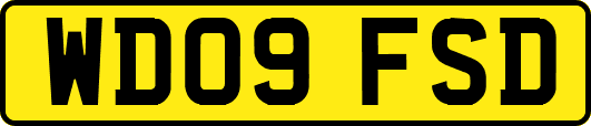 WD09FSD