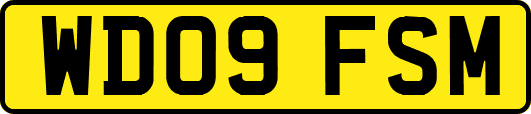 WD09FSM