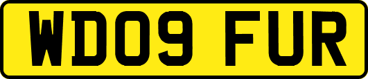 WD09FUR