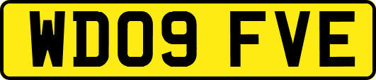 WD09FVE