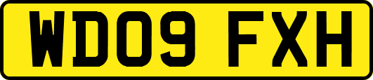 WD09FXH