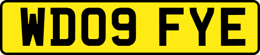 WD09FYE