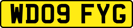 WD09FYG
