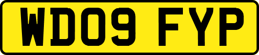 WD09FYP