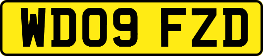 WD09FZD