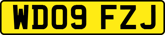 WD09FZJ