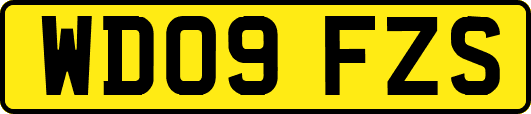 WD09FZS