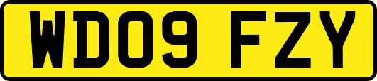 WD09FZY