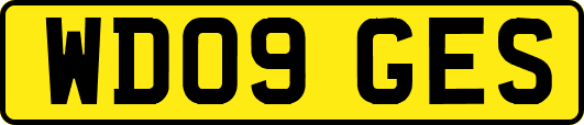 WD09GES