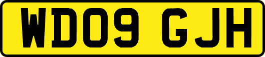 WD09GJH