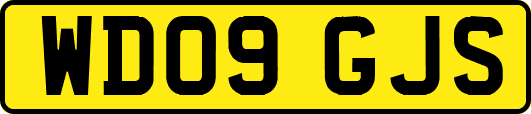 WD09GJS