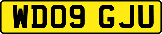 WD09GJU
