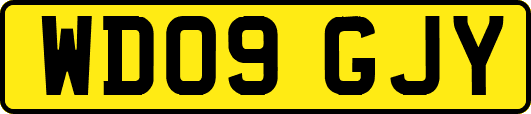 WD09GJY