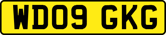 WD09GKG