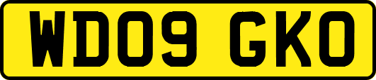 WD09GKO