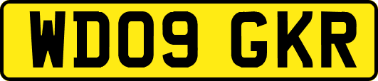 WD09GKR