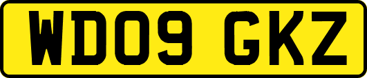 WD09GKZ