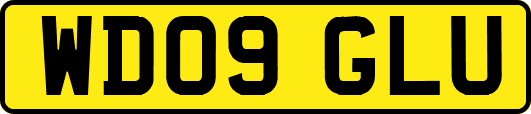 WD09GLU
