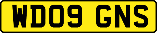 WD09GNS