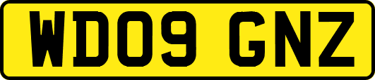WD09GNZ