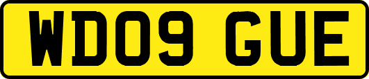 WD09GUE