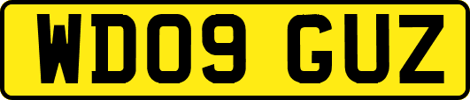 WD09GUZ