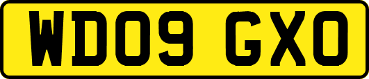 WD09GXO