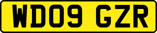 WD09GZR