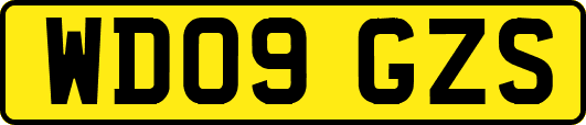 WD09GZS