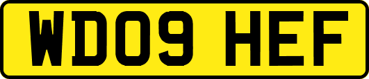 WD09HEF