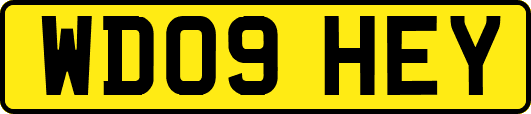 WD09HEY